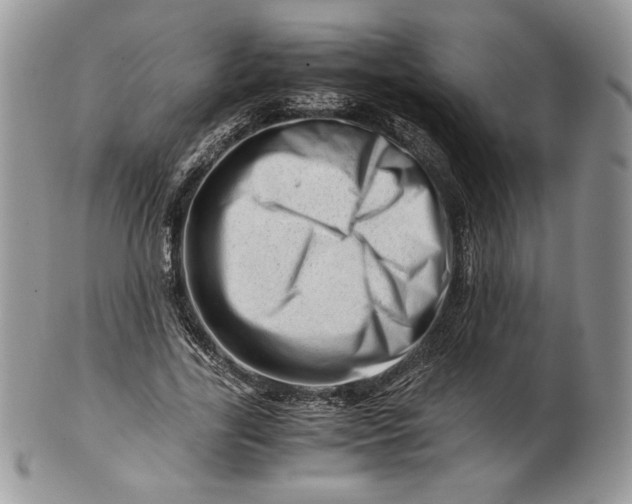 X0000101960731200808011107