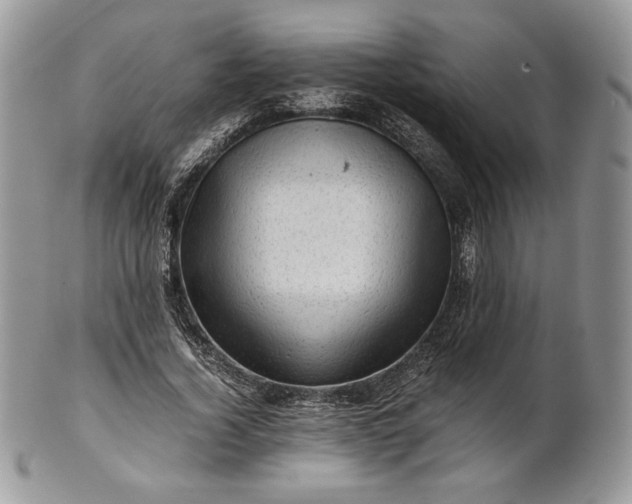 X0000101960732200808011107