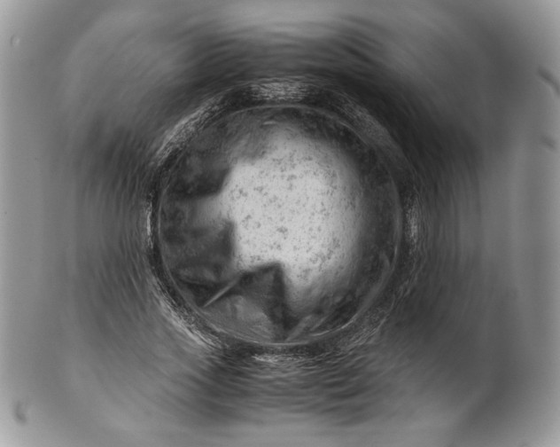 X0000101960733200808011107