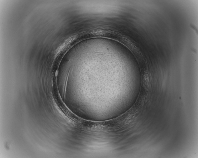 X0000101960734200808011107