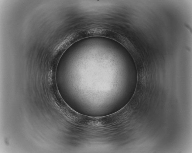 X0000101960735200808011107