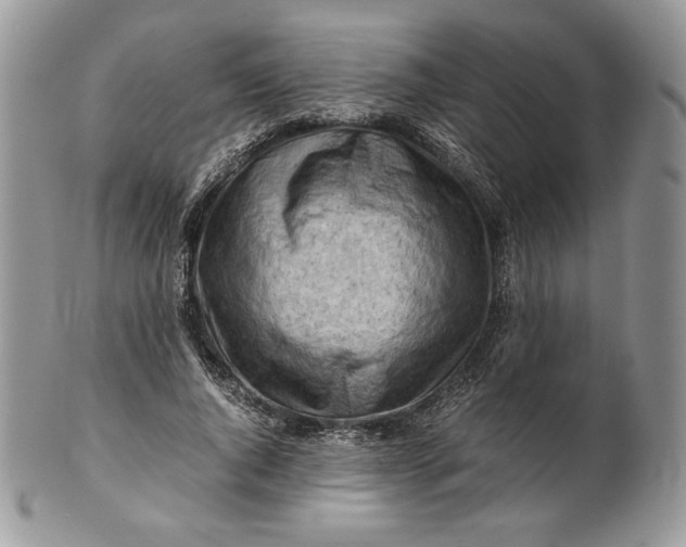 X0000101960736200808011107