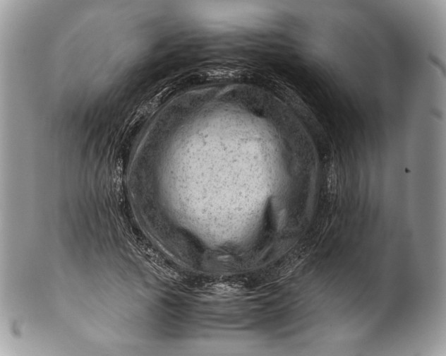 X0000101960737200808011107