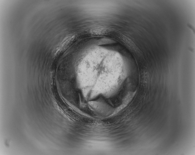 X0000101960738200808011107