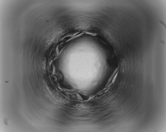 X0000101960739200808011107