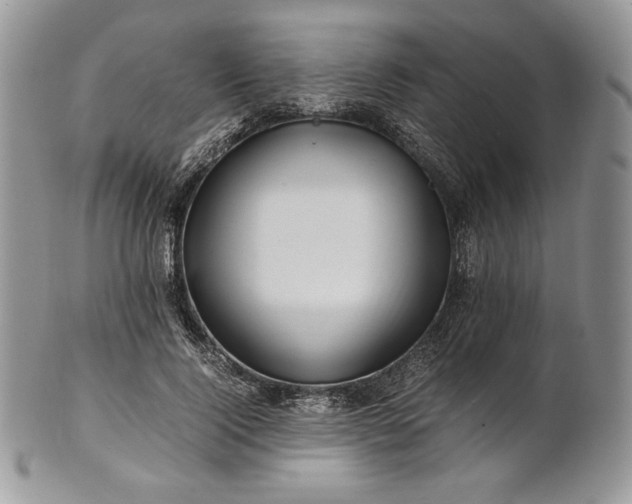 X0000101960740200808011107