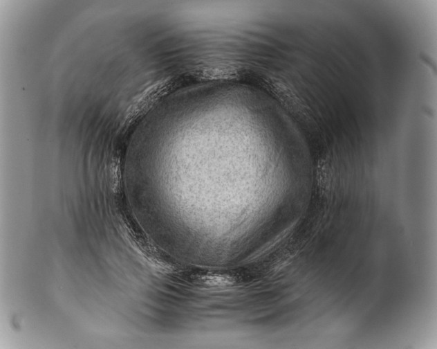 X0000101960741200808011107