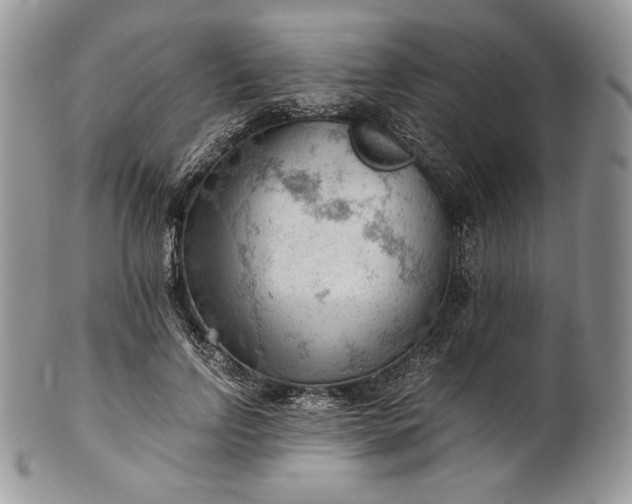 X0000101960742200808011107