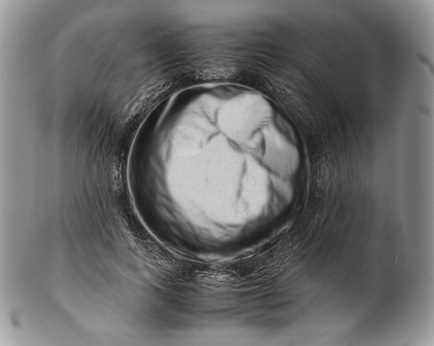 X0000101960743200808011107