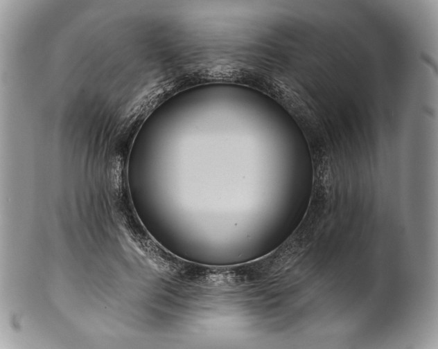 X0000101960744200808011107