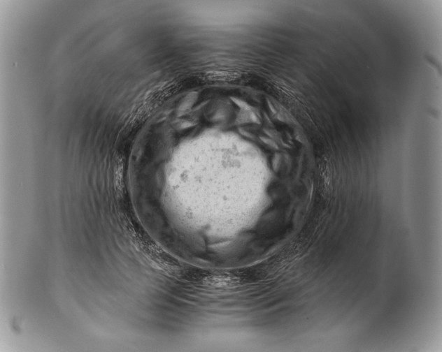 X0000101960745200808011107