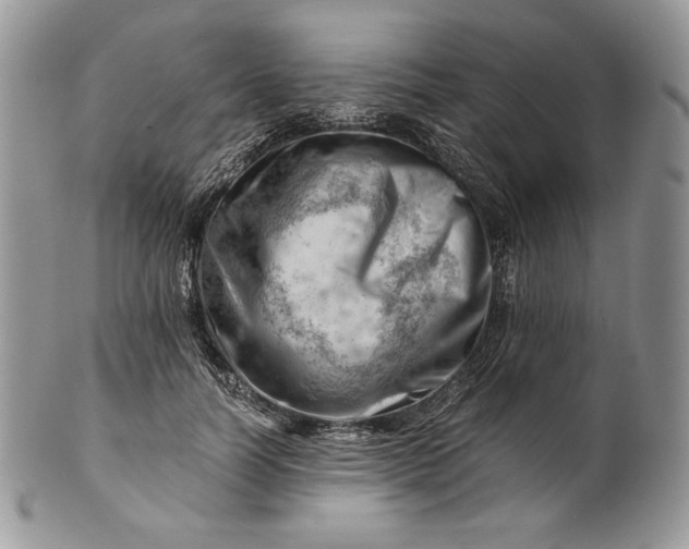 X0000101960746200808011107