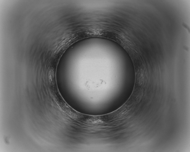 X0000101960747200808011107