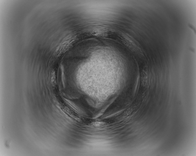 X0000101960748200808011107