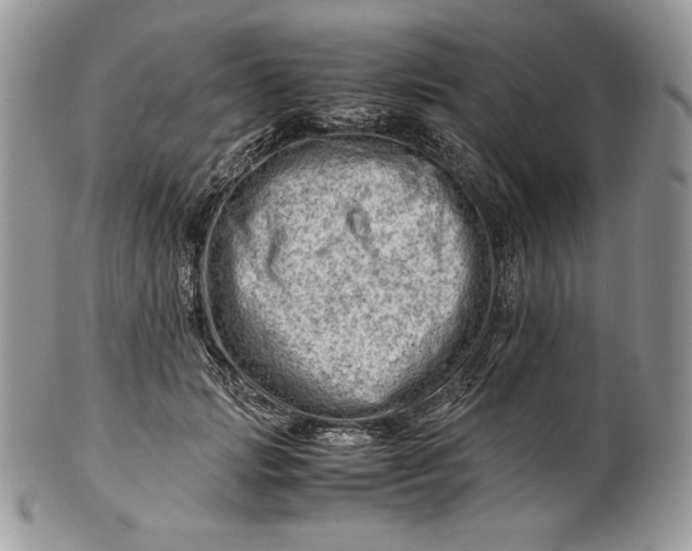 X0000101960749200808011107