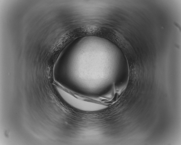 X0000101960750200808011107