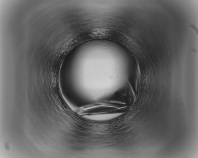 X0000101960751200808011107