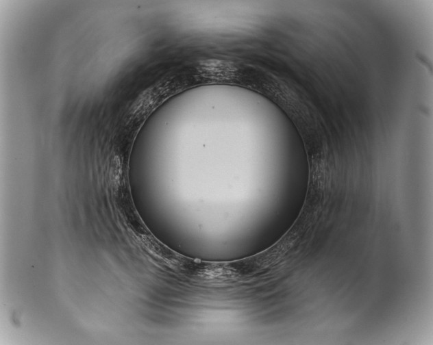 X0000101960752200808011107