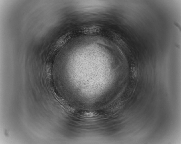 X0000101960753200808011107