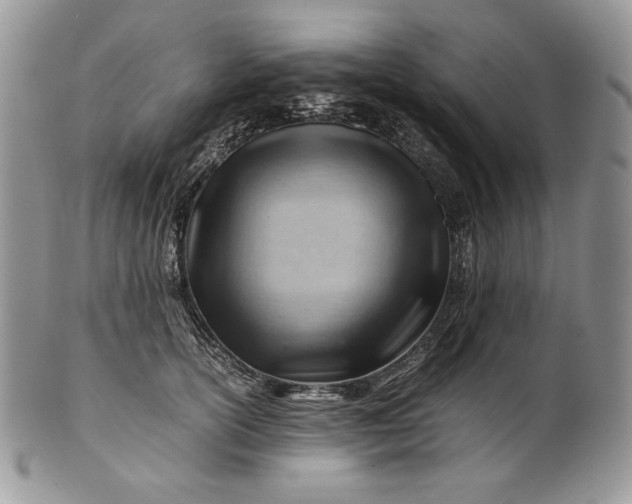 X0000101960754200808011107