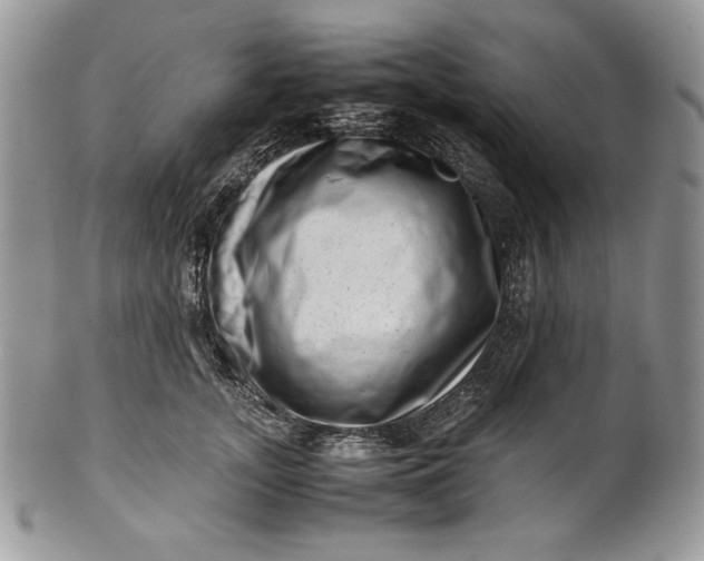 X0000101960755200808011107