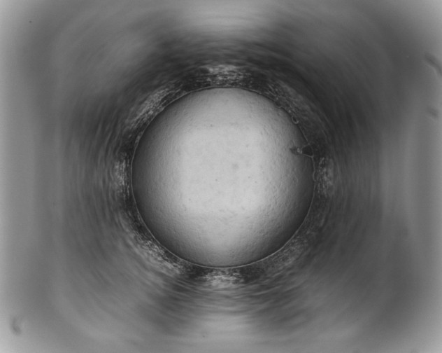 X0000101960756200808011107