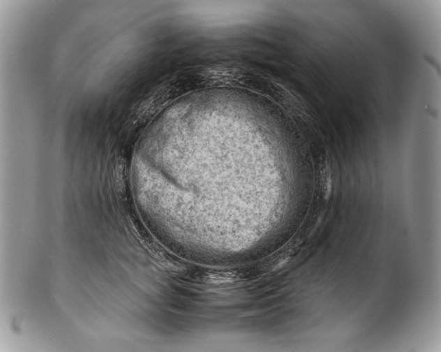 X0000101960757200808011107