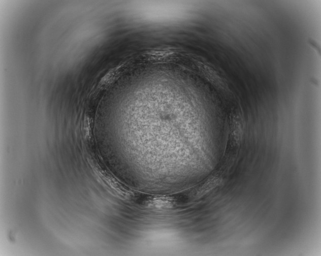 X0000101960758200808011107