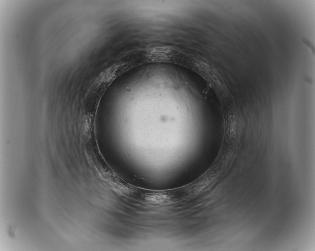 X0000101960759200808011107