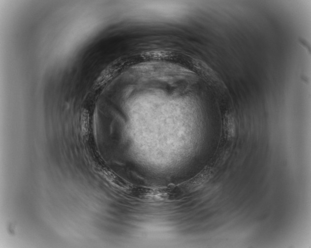 X0000101960760200808011107