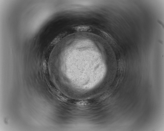 X0000101960761200808011107