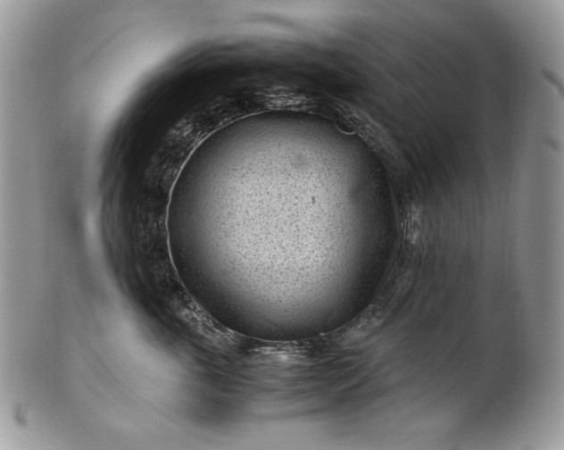 X0000101960763200808011107