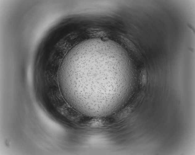 X0000101960764200808011107