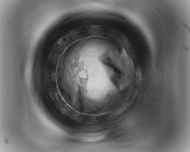 X0000101960765200808011107