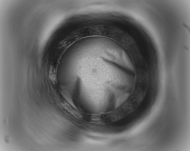 X0000101960766200808011107