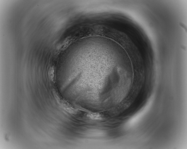 X0000101960767200808011107