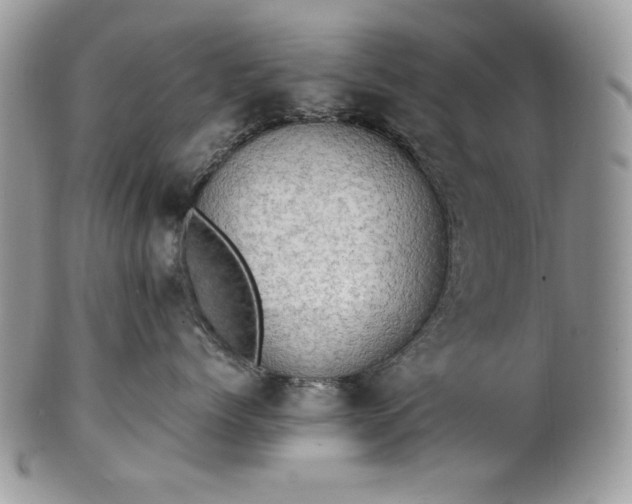 X0000101960768200808011108