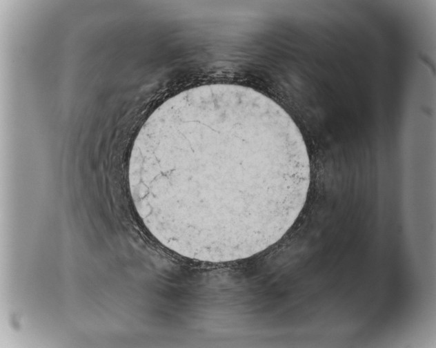 X0000101960769200808011107