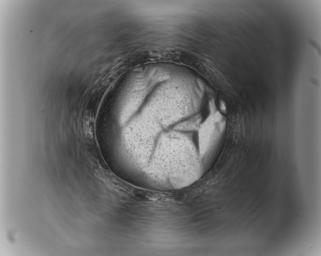 X0000101960770200808011107