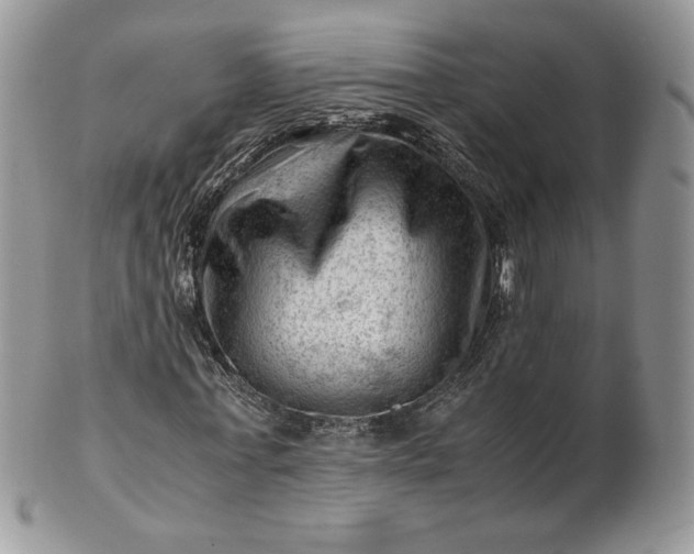 X0000101960771200808011107