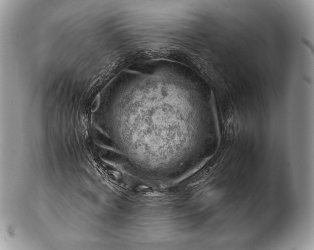 X0000101960772200808011107