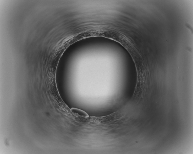 X0000101960773200808011107