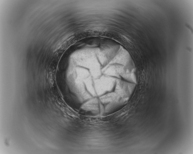 X0000101960774200808011107