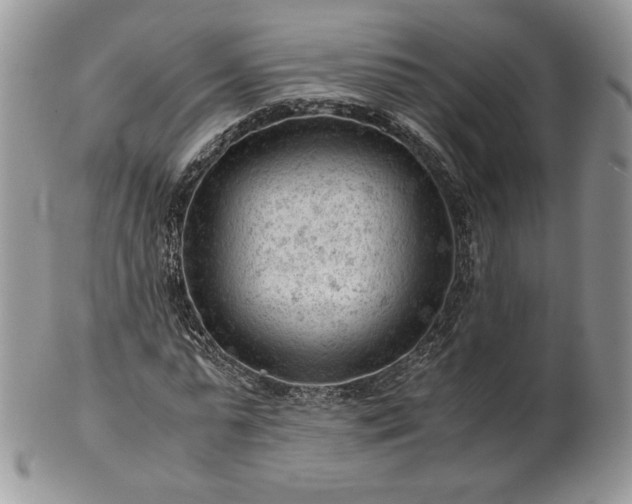 X0000101960775200808011107