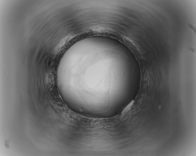 X0000101960776200808011107