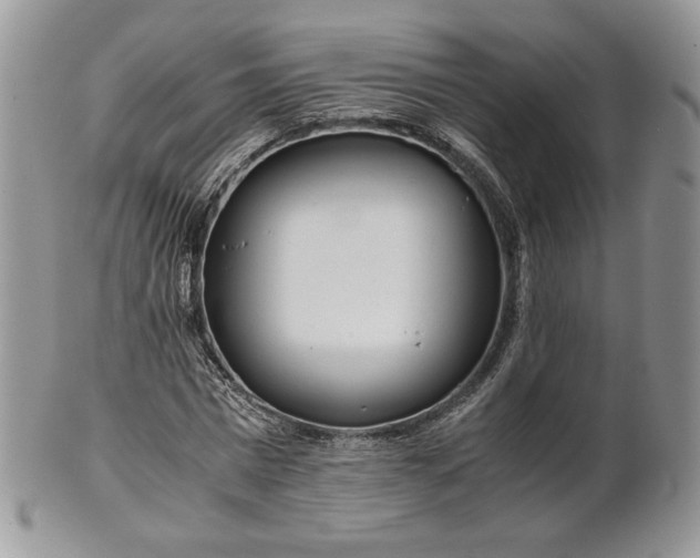 X0000101960777200808011107