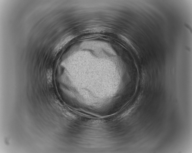 X0000101960778200808011107