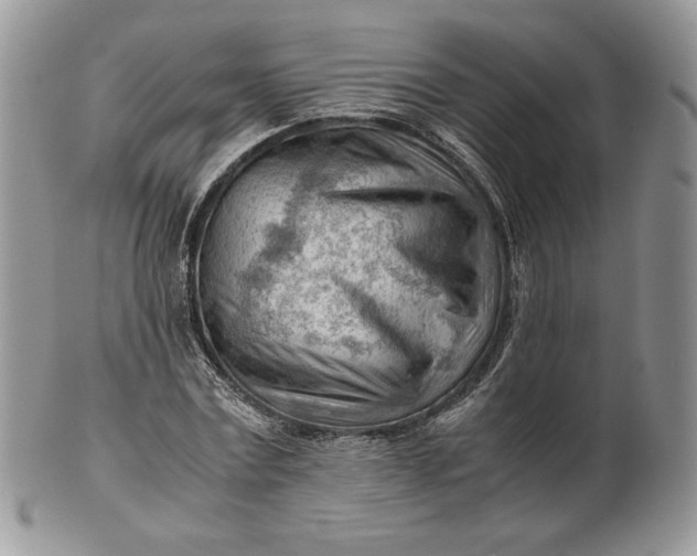 X0000101960779200808011107