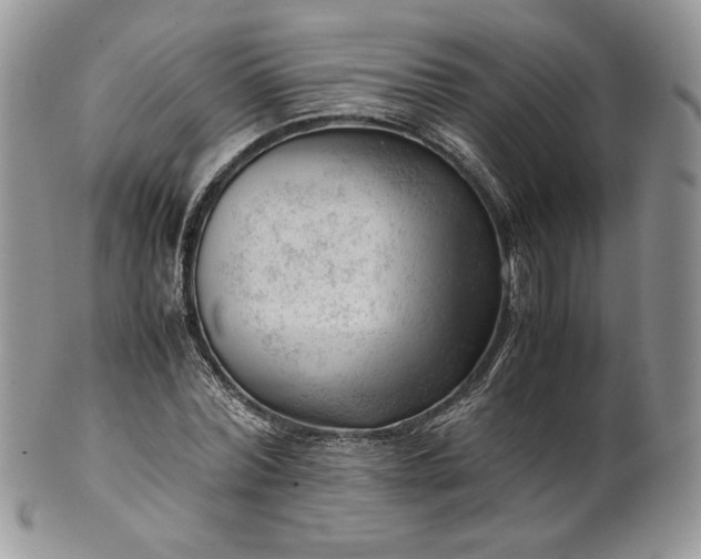 X0000101960780200808011107