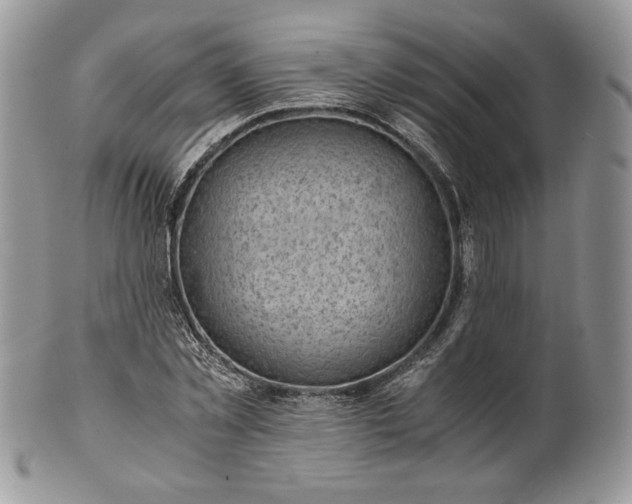 X0000101960781200808011107